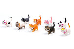 Refrigerator Magnets Decorative Cute Kitten Cat Lovers Funny 9pcs-Set, Gift