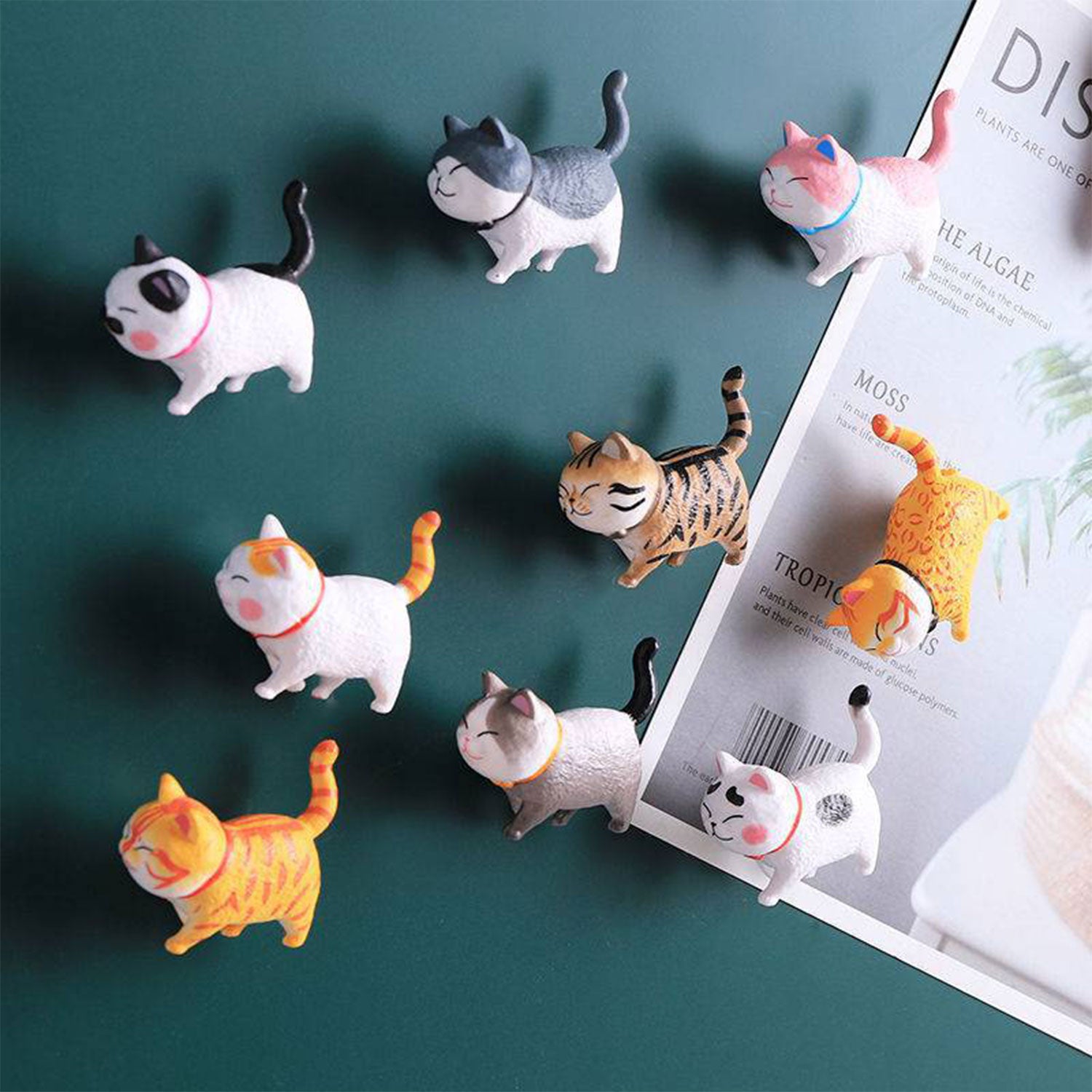 Refrigerator Magnets Decorative Cute Kitten Cat Lovers Funny 9pcs-Set, Gift