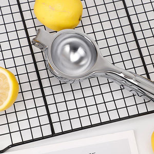 Stainless steel lemon extruder