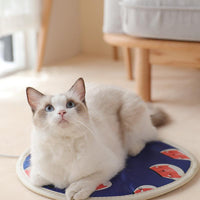 Pet Heating Pad, Electric Heating Pad for Dogs and Cats Indoor Warming Mat