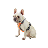KAUKKO Hundegeschirr No Pull Sicherheitsgeschirr Reflektierend Dog Harness Luftdurchlässiges Gittergewebe Geschirr