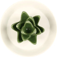 KAUKKO Cactus Ring Holder Green Jewelry Dish for Rings Earrings Bracelets Necklace Organizer, Cactus Gift for Women Birthday/Christmas，CR01-3