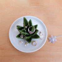 KAUKKO Cactus Ring Holder Green Jewelry Dish for Rings Earrings Bracelets Necklace Organizer, Cactus Gift for Women Birthday/Christmas，CR01-1