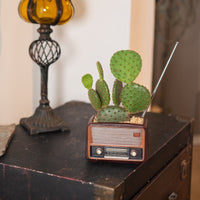 KAUKKO Vintage Garden Pots for Live Succulents Plants Cute planters  Radio Vintage Storage Basin Funny Succulent pots Dark brown